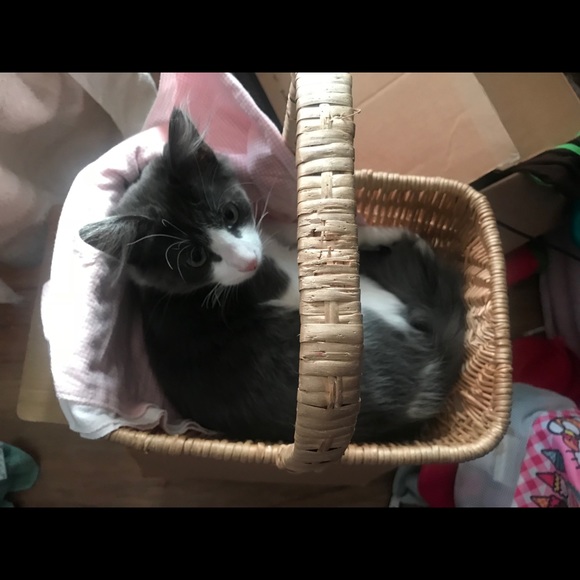 Meet your sellers / buyers - Picture 2 of 3